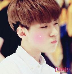 吴世勋资料,韩流偶像的星光之路与艺术追求