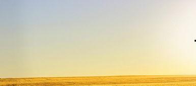 纯金色背景图片,尽展奢华之美