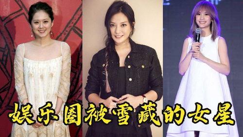 娱乐圈雪藏是什么意思,雪藏背后的真相与内幕