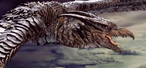 网红 怪兽 资料