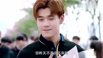 娱乐之幕后bosd,揭开BOSD的神秘面纱